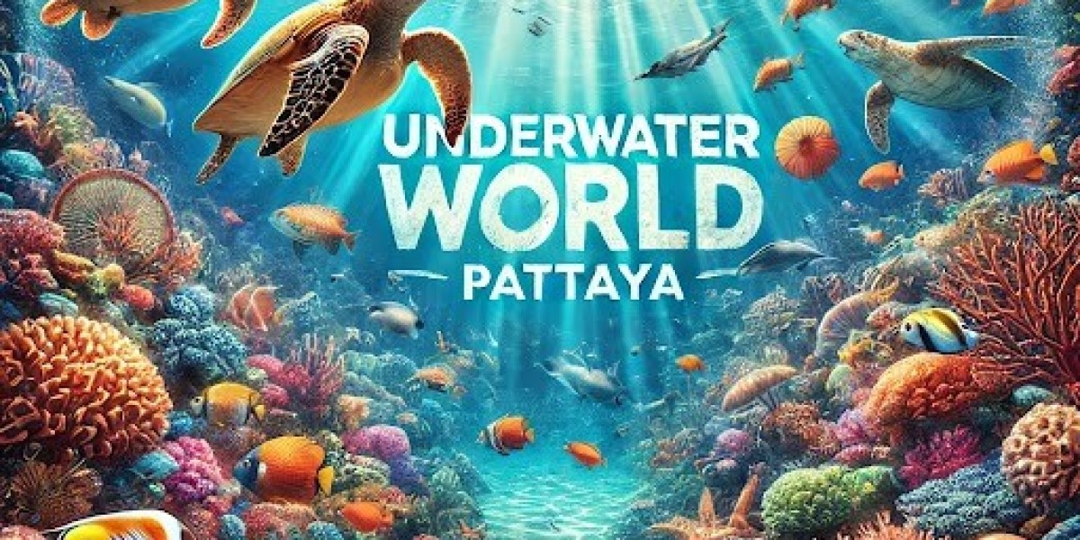 Dive Into Pattaya Underwater World - Book Disco