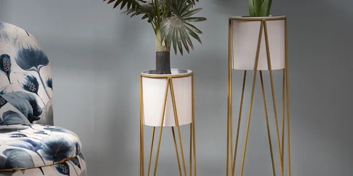 Bring Home Freshness with Indoor Flower pots