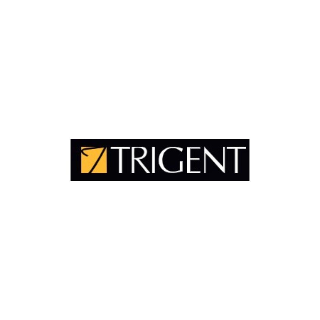Trigent Software Profile Picture