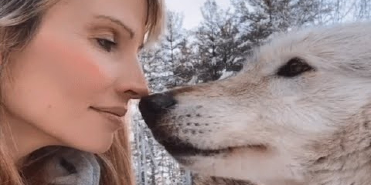 Wolf Kissing: A Love Story