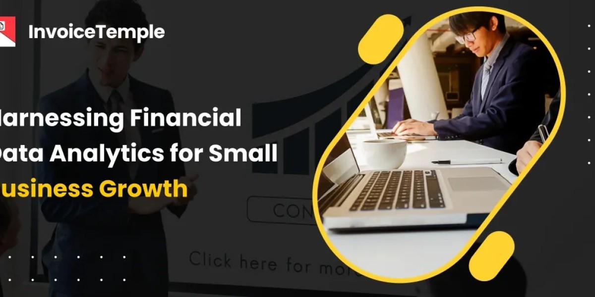Harnessing Financial Data Analytics for Small B