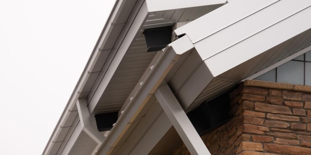 Top-Rated Gutter Services in Carson City, NV