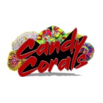 Candy Corals Profile Picture