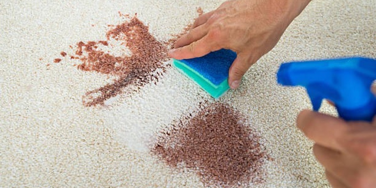 Allergy-Friendly Rug Cleaning Solutions