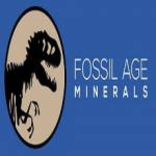 Fossil Minerals Profile Picture