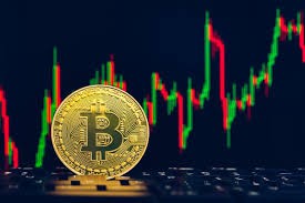 Immediate Path Platform Profile Picture