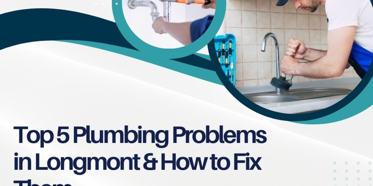 Top 5 Plumbing Problems Longmont Homeowners Fac