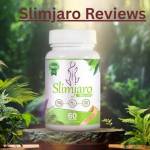 JordaSmit JordaSmit Profile Picture