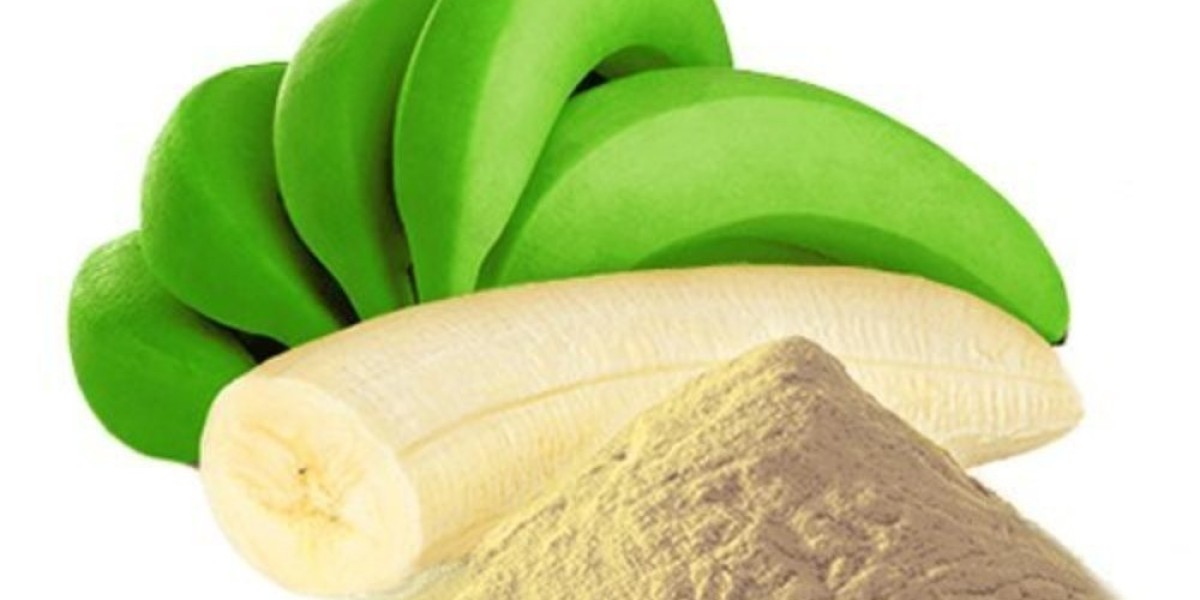 Banana Powder Manufacturing Plant Project Cost
