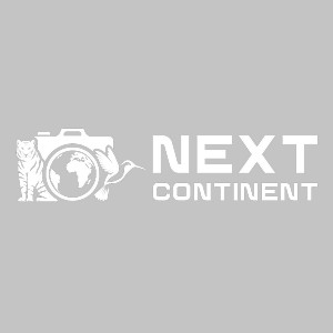 Next Continent: Wildlife, Photography and Natural History Tours Profile Picture