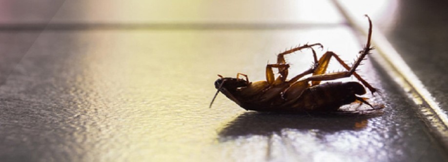 Bugs and Beyond Cover Image