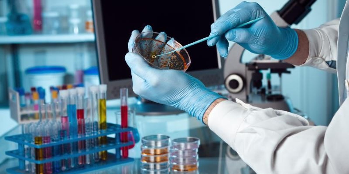 Global Enteric Disease Testing Market Size, Sha