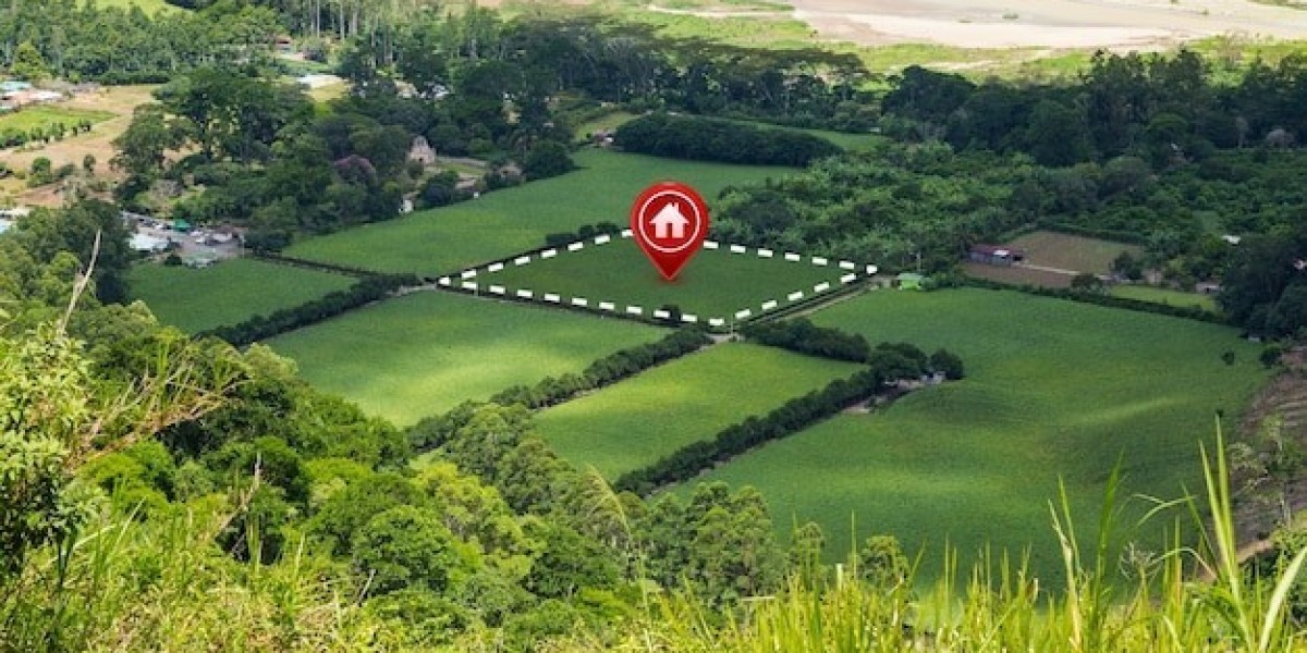 Survey Property Lines