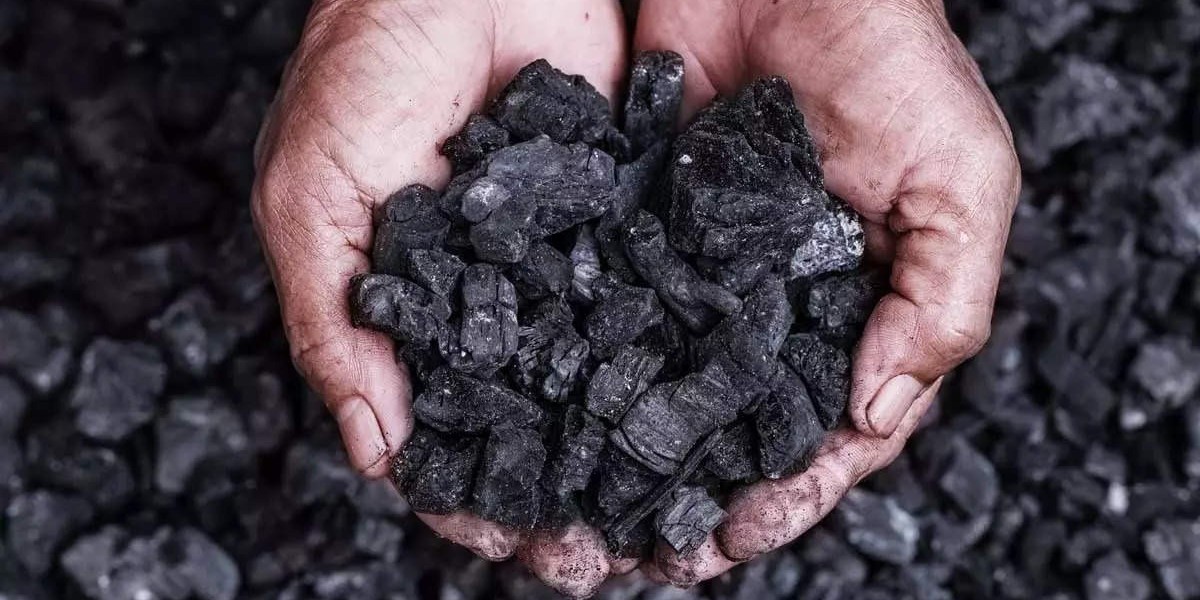 Successful Pet Coke Manufacturing Plant Setup