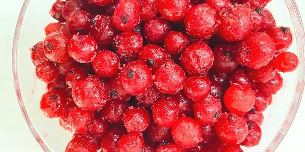 Currant Processing Plant: Project Report 2025