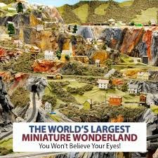 Wonderland near me Profile Picture