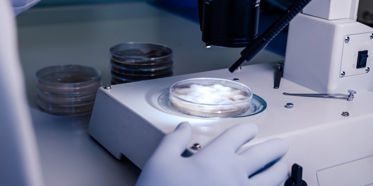 Cost On Hydrolyzed Collagen Manufacturing Unit