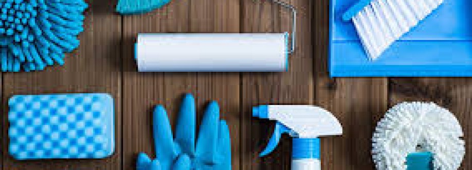 A Cleaners Kiss Cover Image