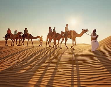 Cheap desert safari Abu Dhabi Profile Picture