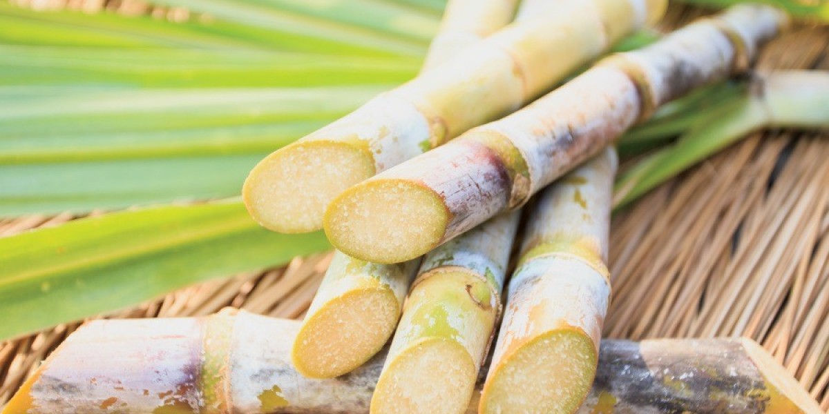 Sugar Cane Processing Manufacturing Plant Setup