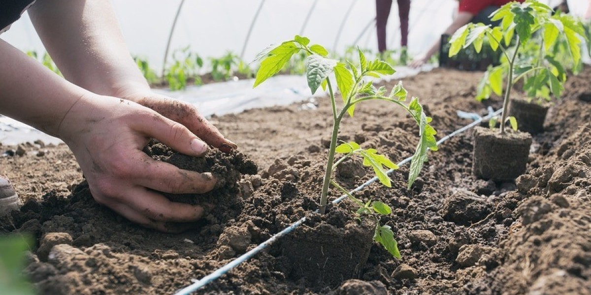 Report on Biofertilizer Manufacturing Plant