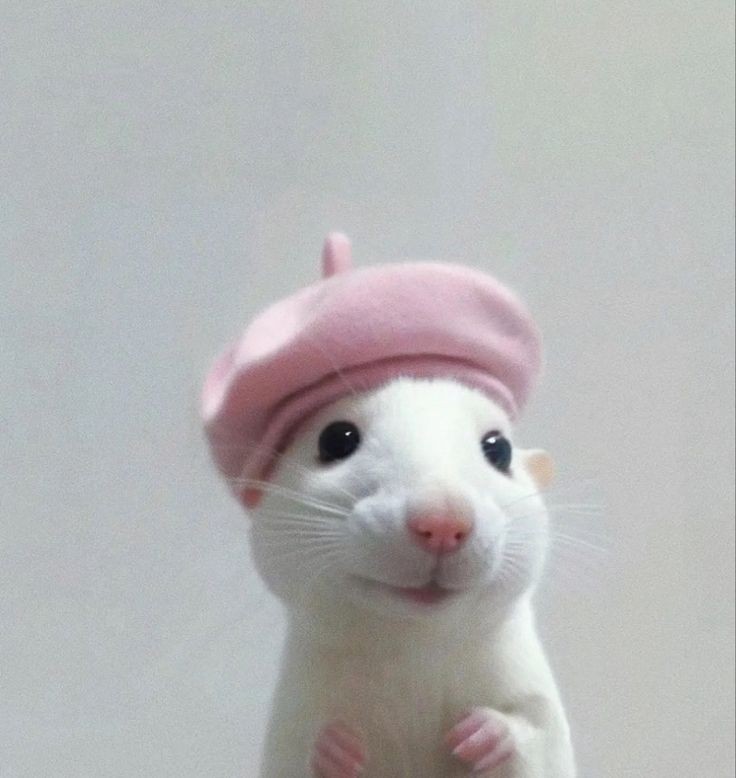 Felicia33 Profile Picture