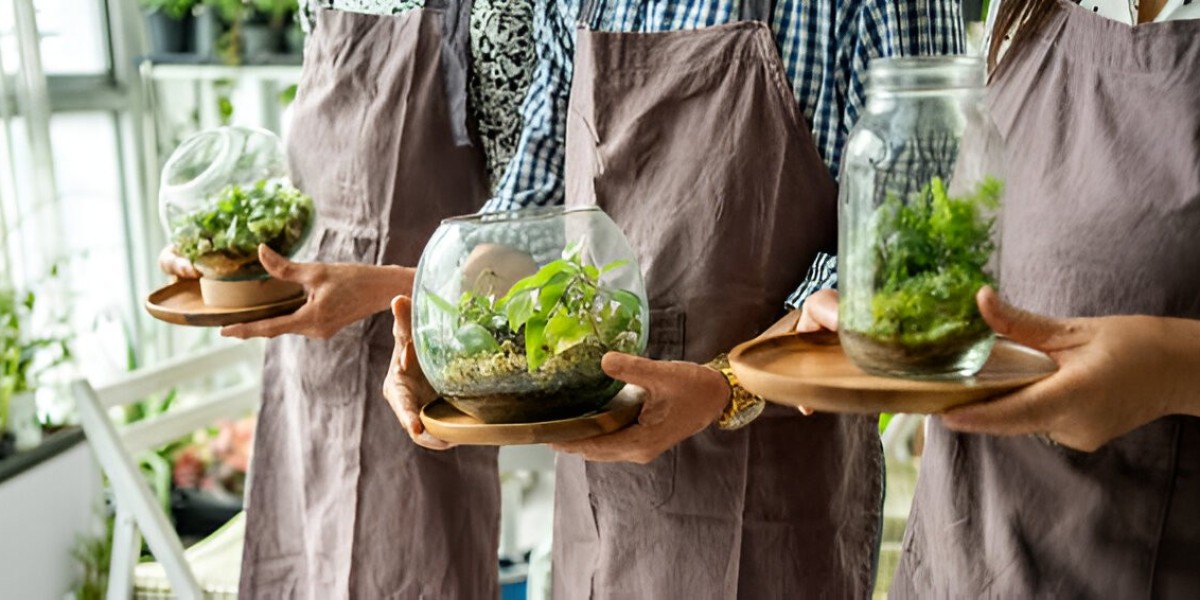 Terrarium Workshop Guide in Singapore