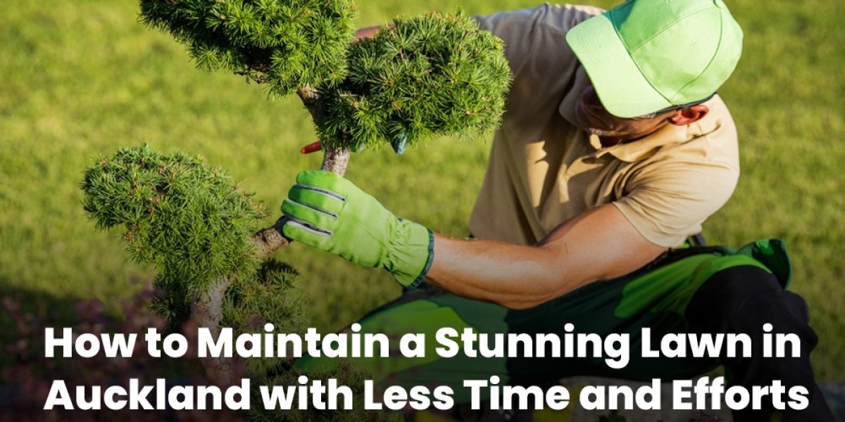 How to Maintain a Stunning Lawn in Auckland wit