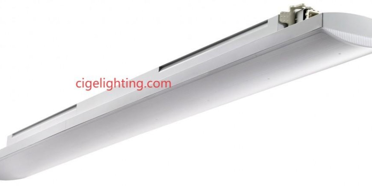 Waterproof Fixture Manufacturer: Where Microbia