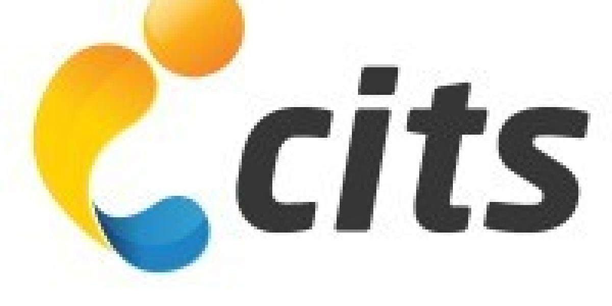 Outsourced Server Management: How to Choose th