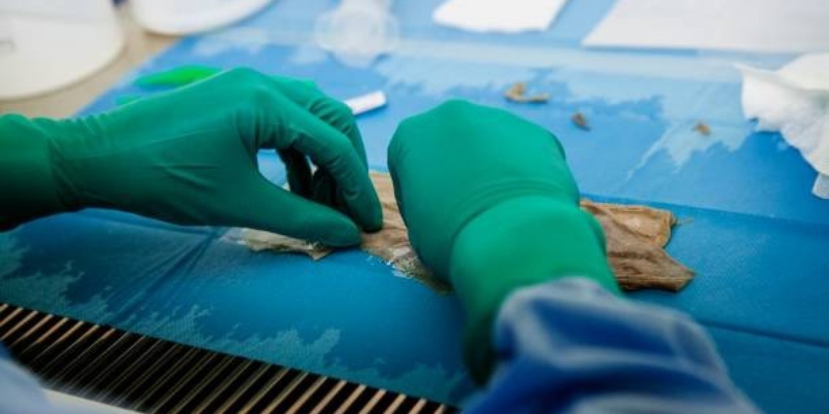 Bio Skills cadaver labs