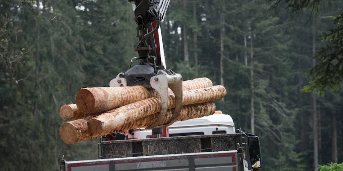How Real-Time Analytics Elevate Construction