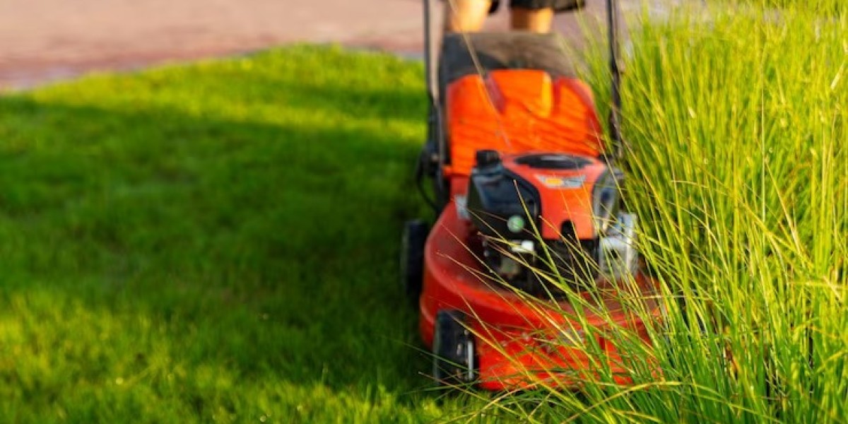Finding The Best Lawn Maintenance Near Me