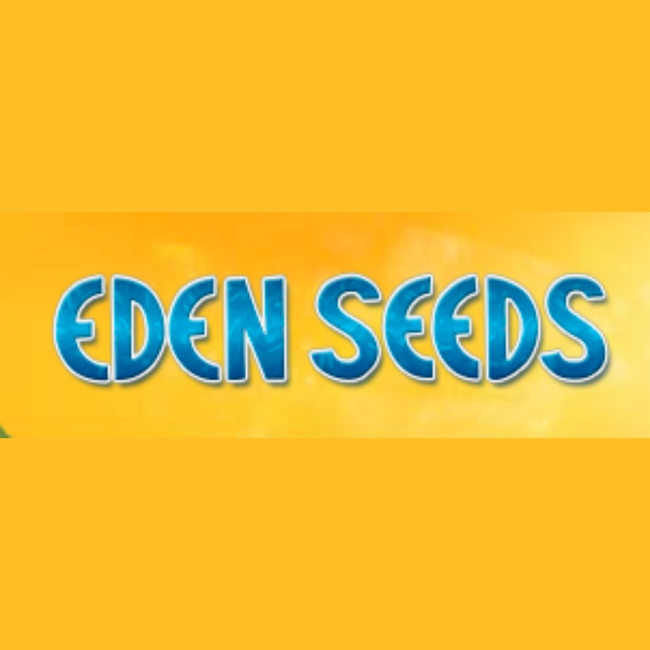 Heirloom Seed Profile Picture