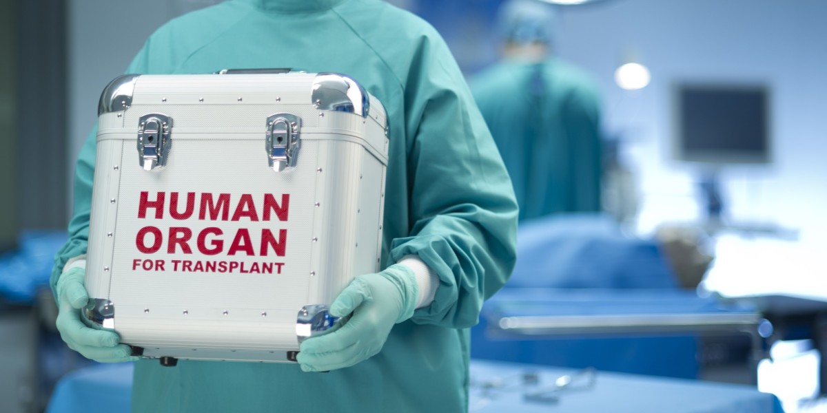 Transplant Box Market 2031: Opportunities