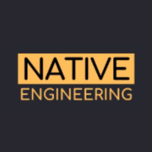 Native Engineering Profile Picture