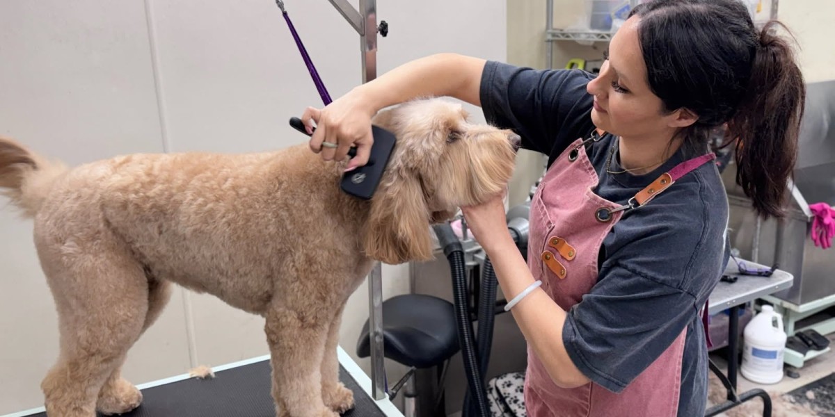 Grooming Station San Diego: Best Dog & Cat