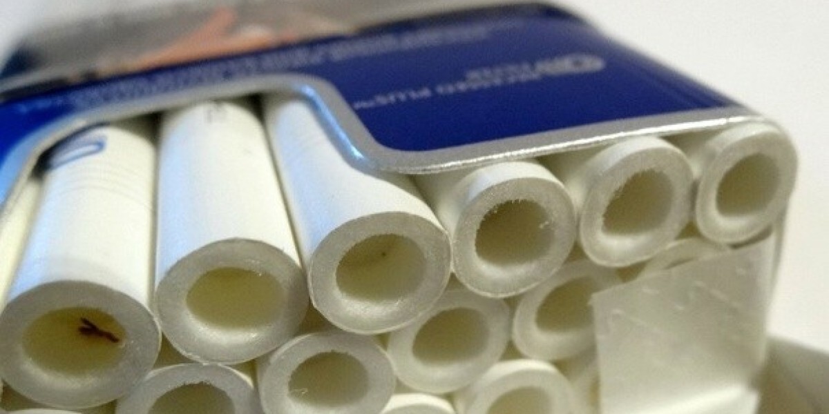Cigarette Safety Filter Market 2031: Trends
