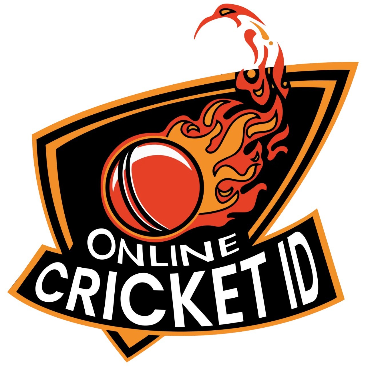 online cricket Profile Picture