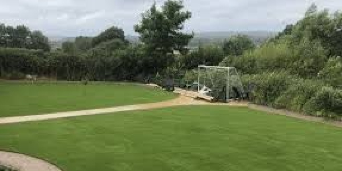 Why Artificial Grass Installation Is Changing