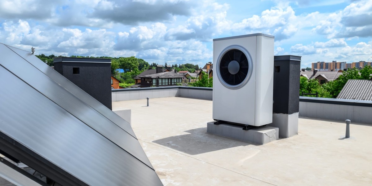 Solar Panels 101: Essential Insights and the Be