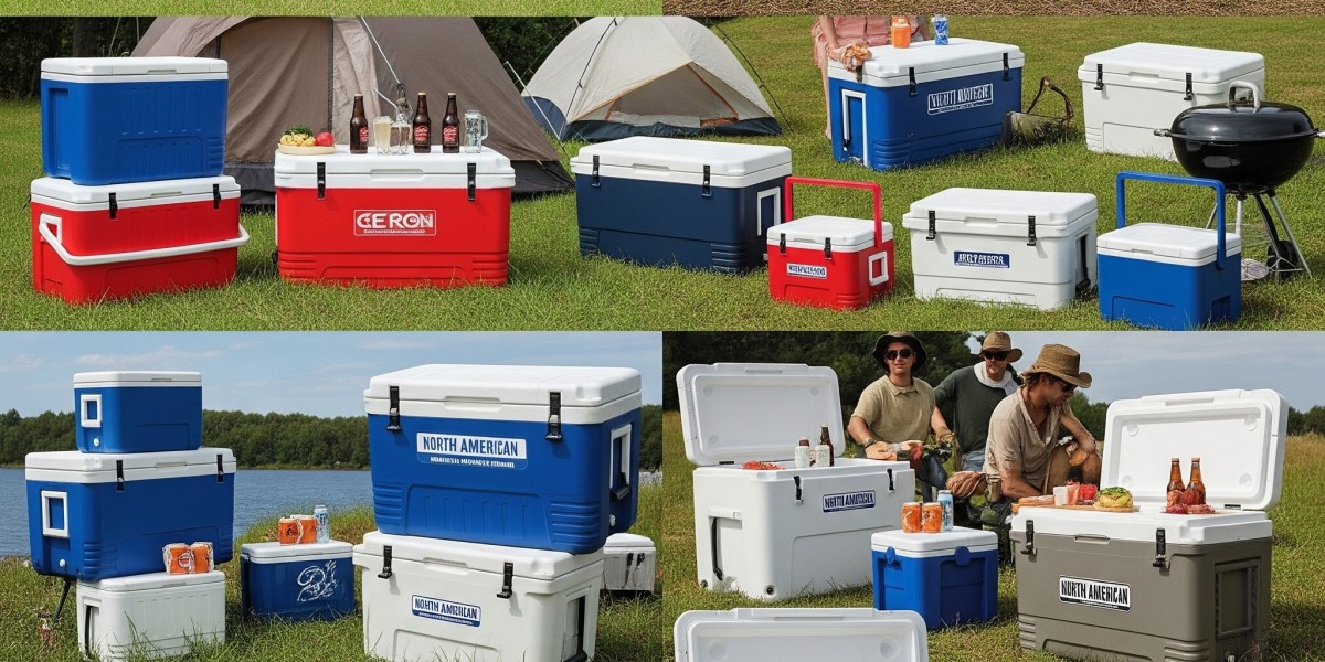 Cold Chain Innovation: Thick-Wall EPS Coolers