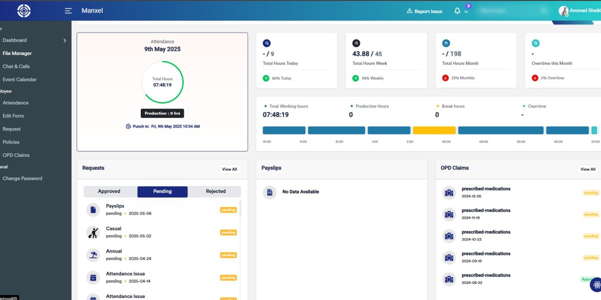 Payroll Management Made Effortless with Manxel
