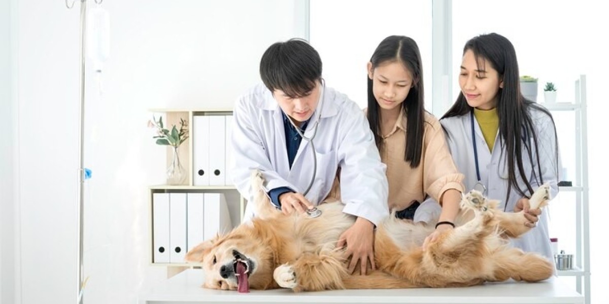 China Pet Health Market Size & Forecast To 2031