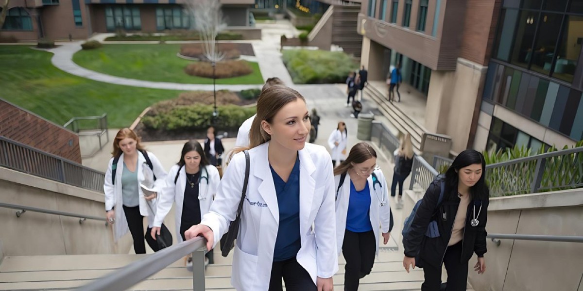 IMG's Roadmap: Med School to Residency Success