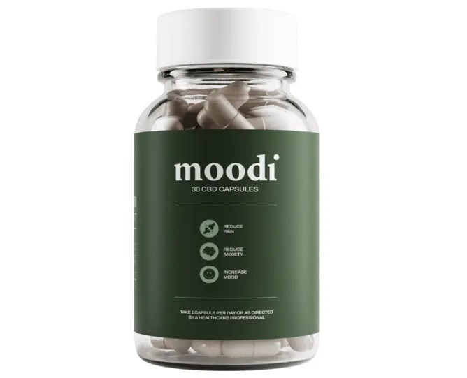 Moodi Kyle Profile Picture