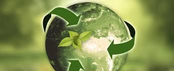 Sustainability through Backward Integration: The Responsible Building of Supply Chains | APSense.com