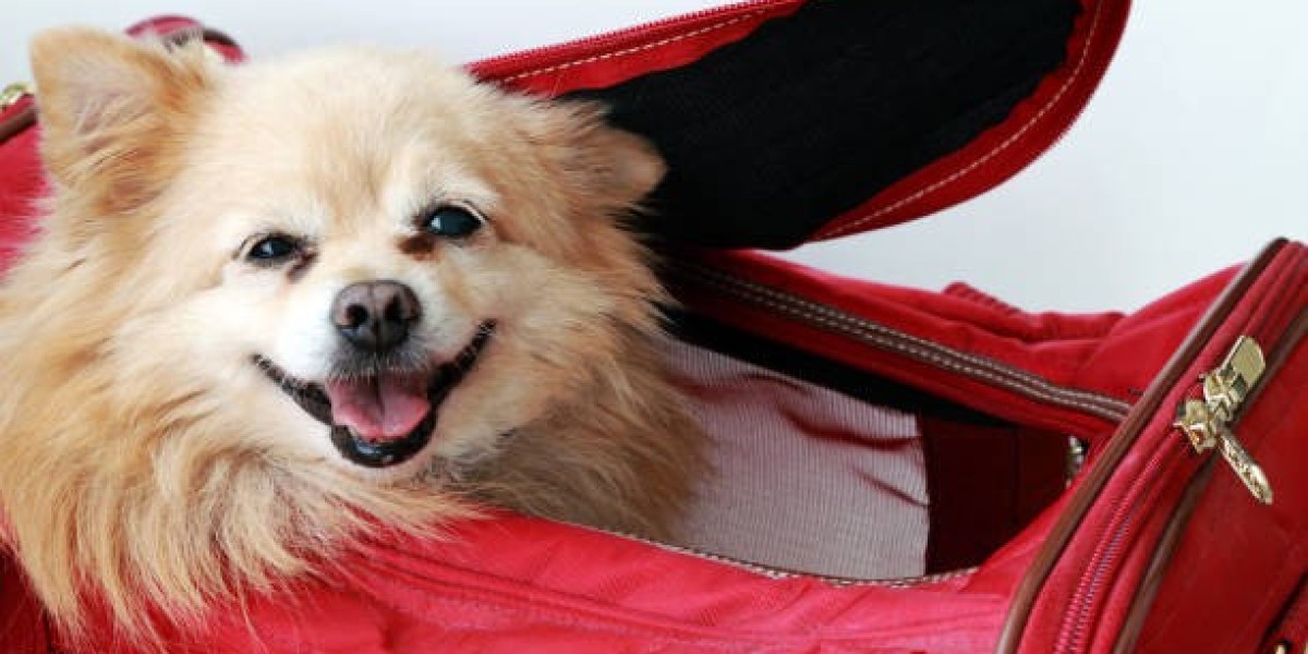 Choosing the Perfect Travel Suitcase for Dogs: