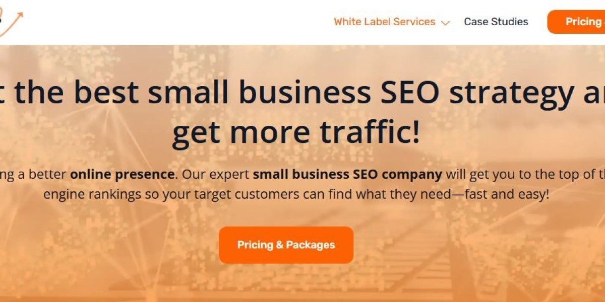 SEO Packages for Small Business