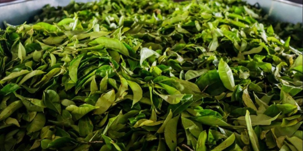 Looking for reliable tea suppliers in Assam? Ad